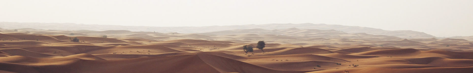 ݸЭ޹˾